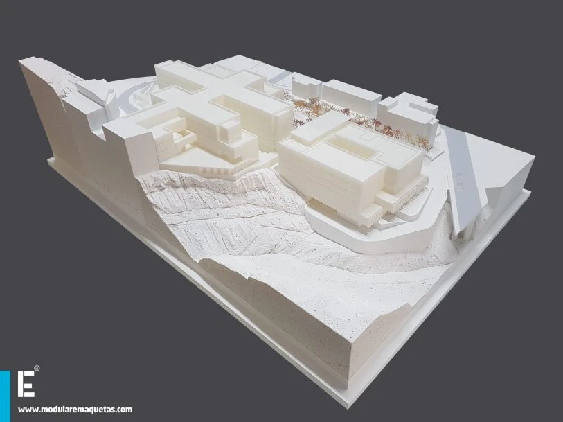 Modulare New Hospital, Febles Campos